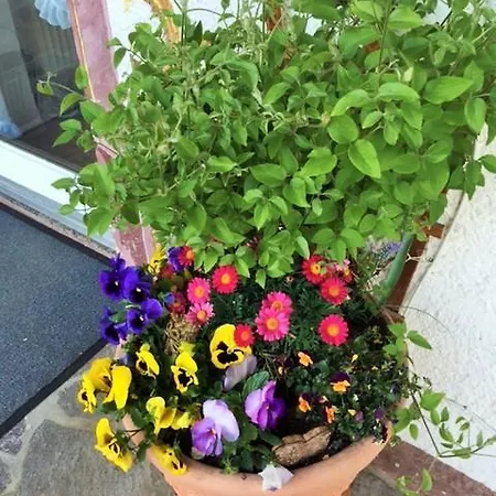 Gruss Aus Partenkirchen Apartmán *