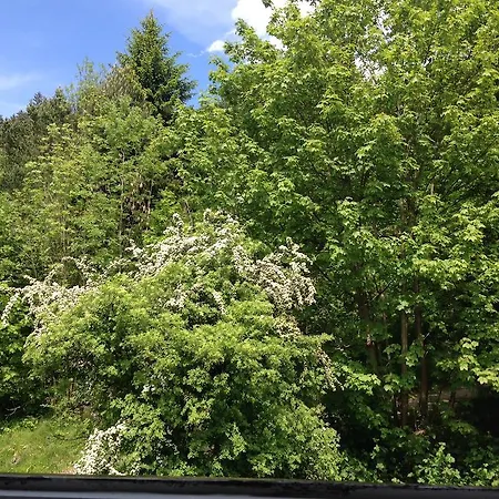 Gruss Aus Partenkirchen Apartamento *