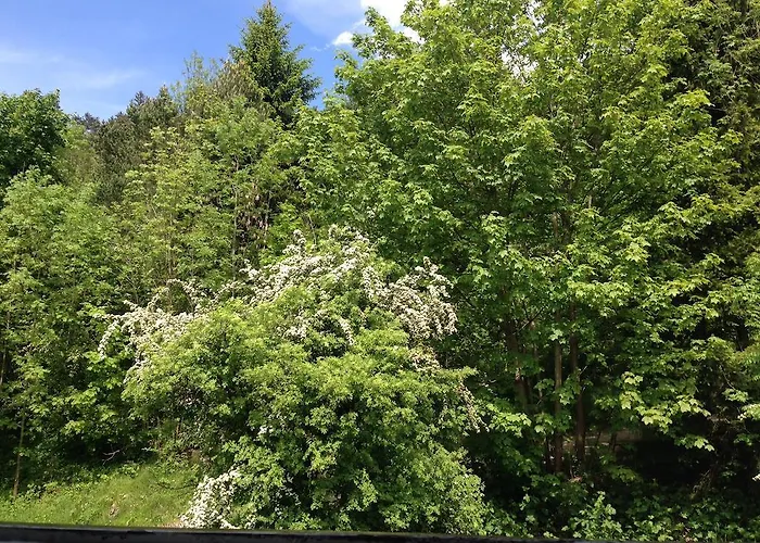 Gruss Aus Partenkirchen 아파트 *